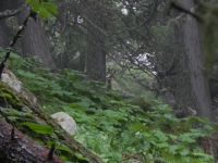 DSCN1722