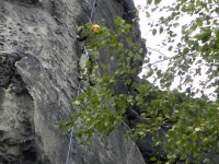 DSCN1952