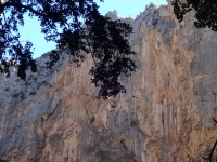 DSC00506_blog