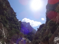 DSC00510_blog
