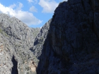 DSCN0545_blog