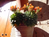 DSCN0682_blog