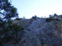 DSCN0705_blog