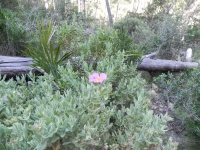 DSCN0712_blog