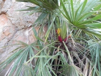 DSCN0762_blog
