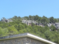 DSCN0770_blog