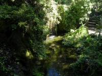 DSCN0814_blog