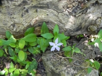 DSCN0817_blog