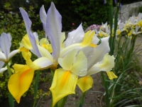 DSCN0871_blog