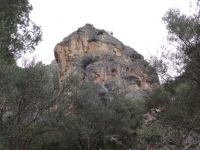 DSC00515_blog