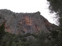DSC00518_blog