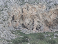 DSCN0940_blog