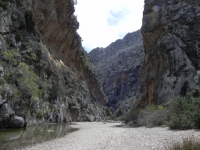 DSCN0950_blog
