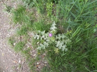 DSCN1019_blog