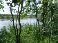 DSCN1029_blog