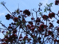 DSCN1110_blog