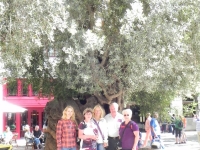 DSCN1116_blog
