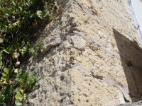 DSCN1122_blog