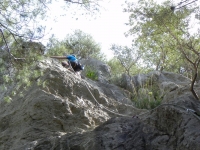 DSCN1145_blog