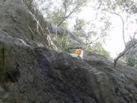 DSCN1150_blog