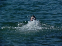 DSCN1270_blog