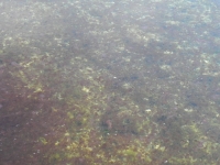 DSCN1279_blog