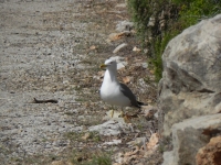 DSCN1280_blog
