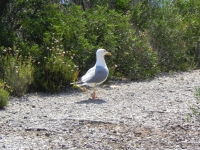 DSCN1286_blog
