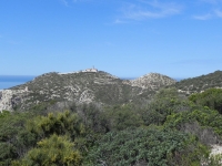 DSCN1288_blog