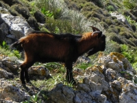 DSCN1519_blog