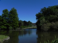 DSCN1531