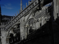 DSCN1541