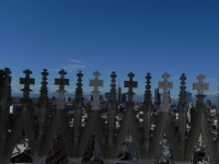 DSCN1545