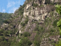 DSC00543