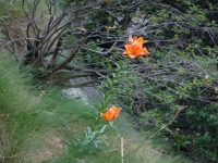 P1070478