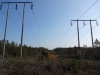 DSC01202