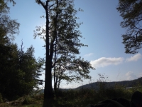 DSC01230