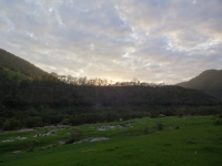 DSC01320