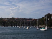 DSC01516