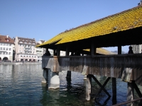 IMG_9492