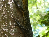 P1130025