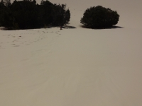 DSC01806.JPG