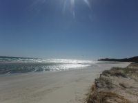 DSCF3731.JPG