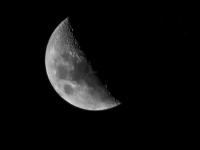 IMG_4662.jpg