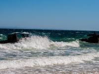 IMG_4684.jpg
