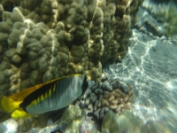 DSC01901