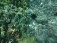 DSC01902