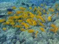 DSC01940