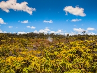 Hawaii_Volcano (11 of 56)