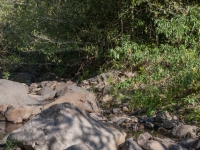 IMG_5682-Pano